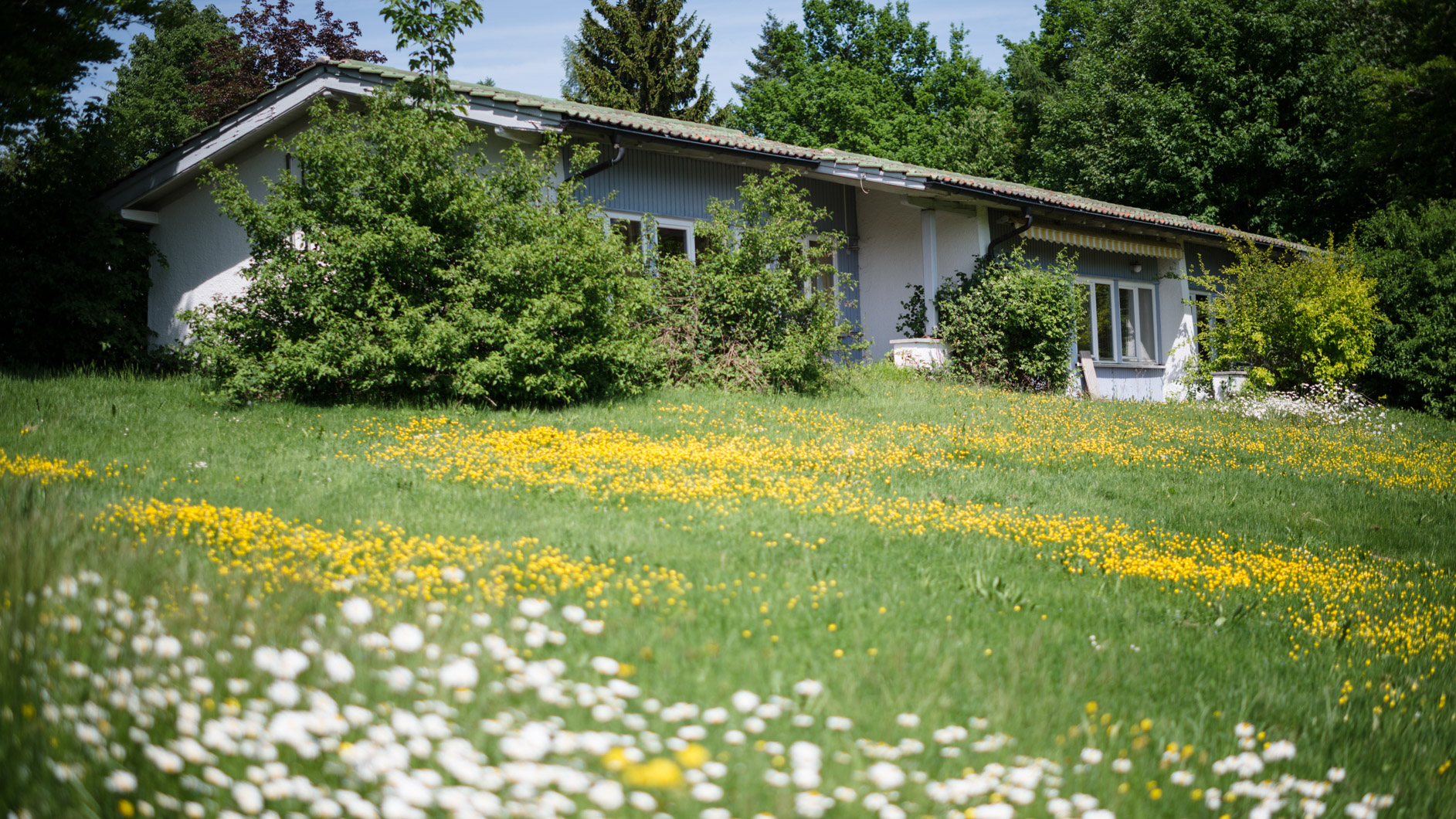 Feriendorf Nadenberg 1