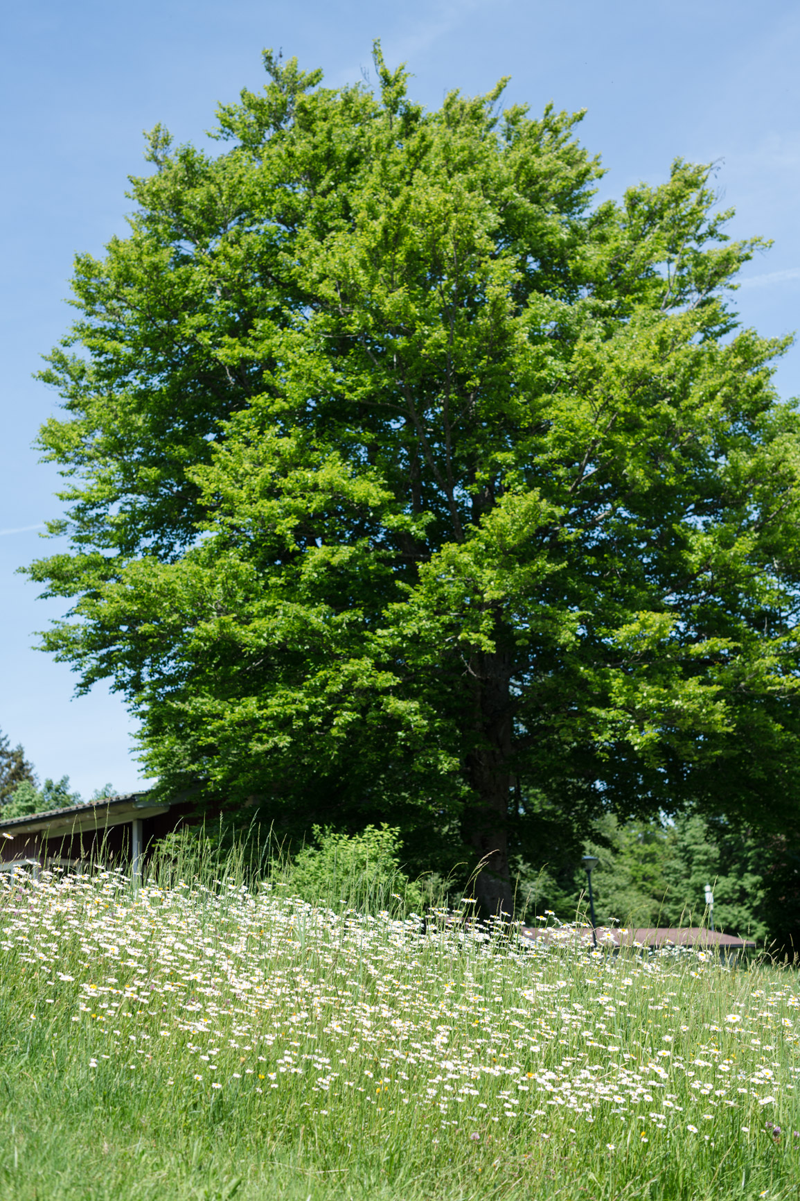 Feriendorf Nadenberg 2